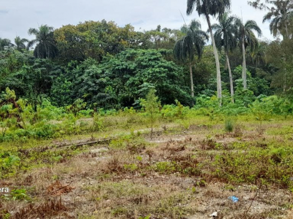 SOLARES DE VENTAS EN NAGUA, ZONA RESIDENCIAL SOLDADO ARRIBA