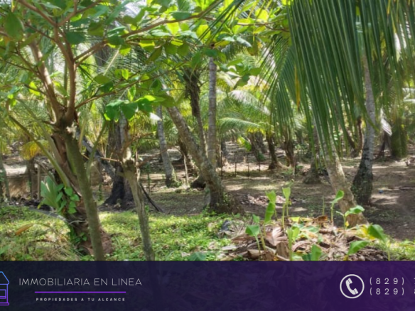 SE VENDE SOLAR CON TITULO DESLINDADO (CARRETERA NAGUA SAMANA)