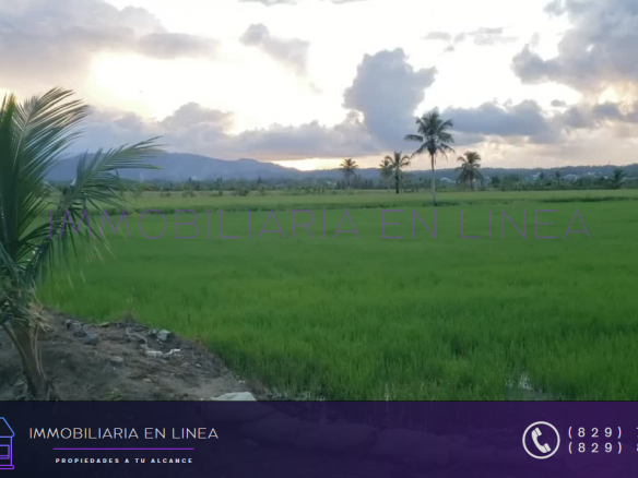 SE VENDE FINCA DE GRAN PRODUCCIÓN
