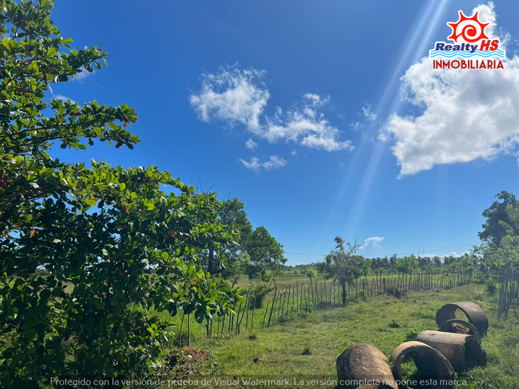 🚨FINCA DE GANADO Y FRUTOS MENORES DE VENTA EN PAYITA DE CABRERA