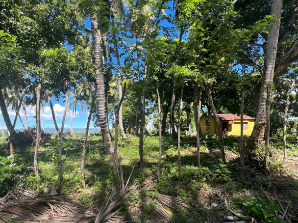 🚨FINCA DE GANADO Y FRUTOS MENORES DE VENTA EN PAYITA DE CABRERA