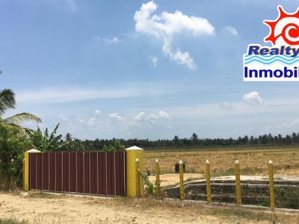 ✨FINCA DE COCO 🌴 Y ARROZ DE VENTA EN DE NAGUA
