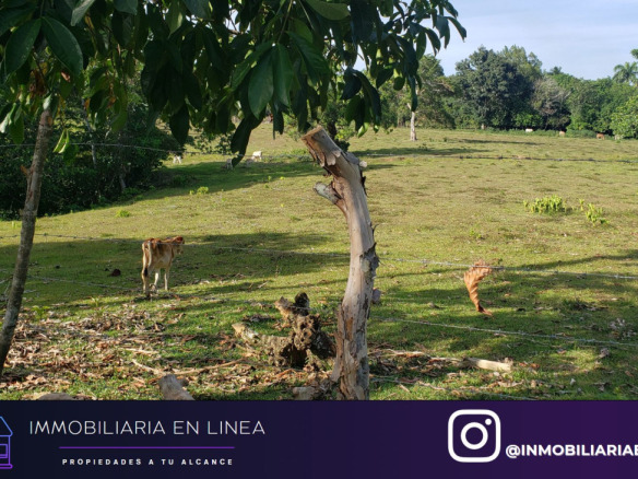 ¡Oportunidad única! Finca en venta con gran potencial de negocio