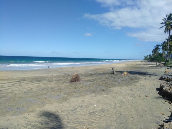 Lote de Terreno Vista al Mar de Venta, en 1era Línea de Playa Las Majaguas, Sánchez, Samaná