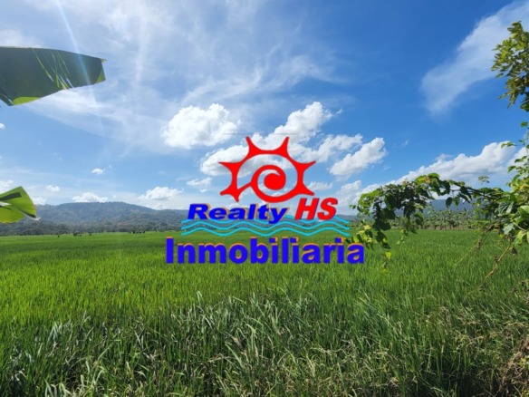 FINCA DE ARROZ DE 1,000 TAREAS DE VENTA EN MADRE VIEJA, DE ALTA PRODUCCIÓN