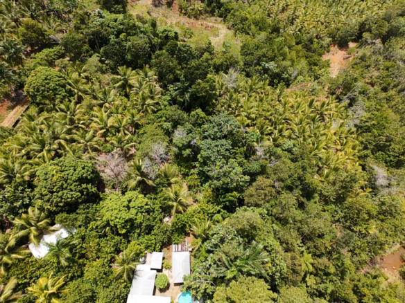 FINCA DE 1,300 TAREAS DE VENTA EN LOS MEMISOS, NAGUA, (HACIENDA JOJO)