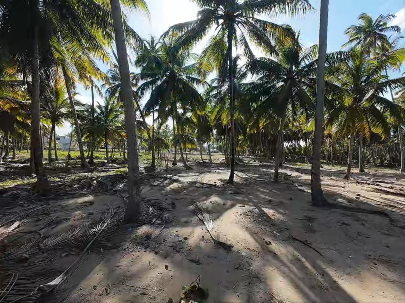 Lote de Terreno en Primera Linea de Playa de Venta en Matancitas.